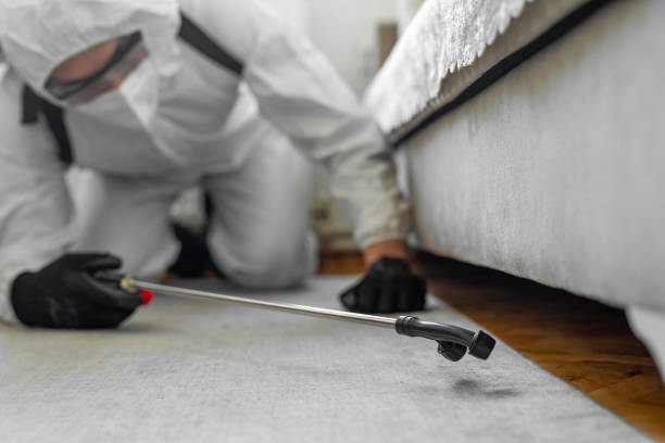 Professional Termite Control technician working in Enon, OH