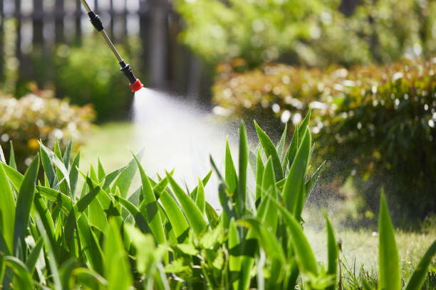 24/7 Emergency Termite Control experts in Enon, OH
